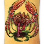 kebbek bio suit