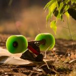 Wasabi wheels in the sun