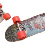 Mini Cruisers Rayne Longboards
