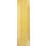 Rayne Longboards Template Back