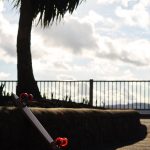 Deluxe Cruiser Profile - Hurtle Skateboards