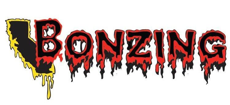 Photo of Bonzing Skateboards Logo